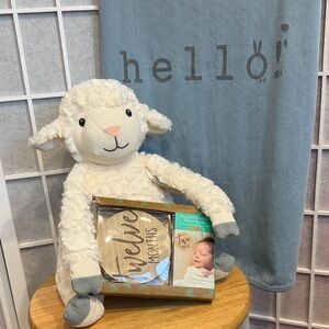 100% Cotton Livly Baby Blanket- Baby Lamb Plush, Wooden Monthly Photo Props